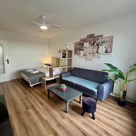 Appartement Rue Condorcet Parking Prive- Dabnb Limoges Eksteriør billede