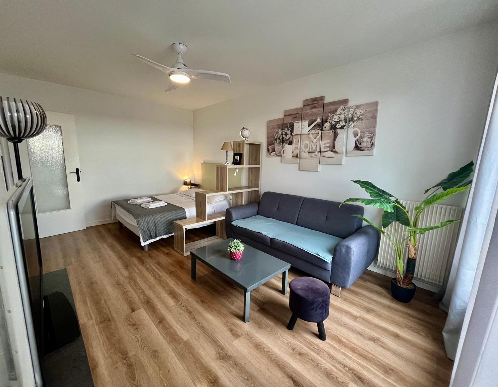 Appartement Rue Condorcet Parking Prive- Dabnb Limoges Eksteriør billede